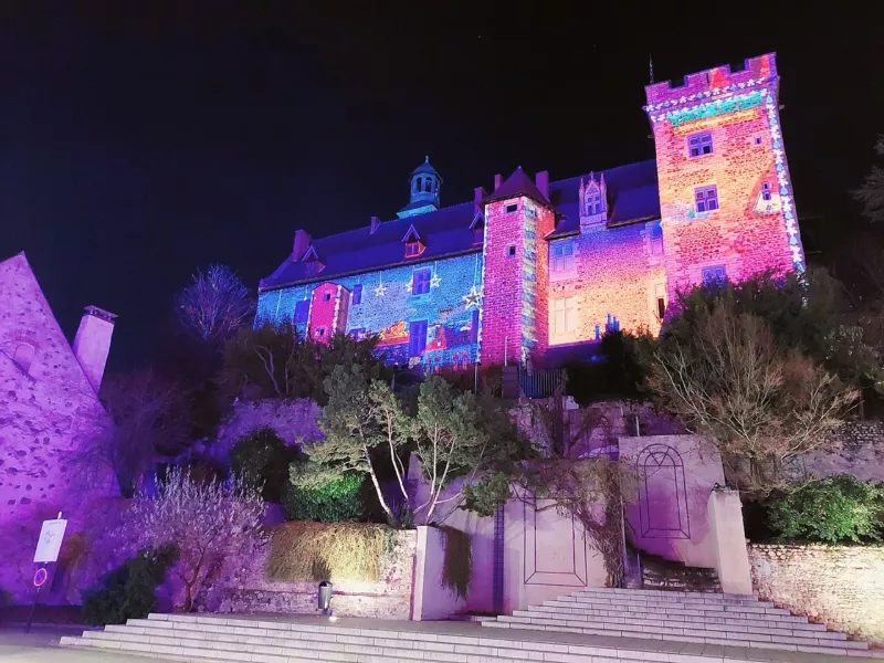 Chateau Ducs de Bourbon 1