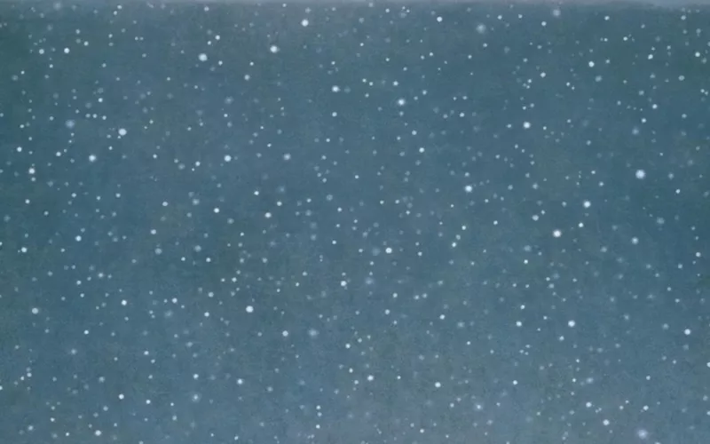Contrepoint contemporain. Vija Celmins