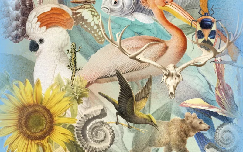 Expo « Artistes au Museum »