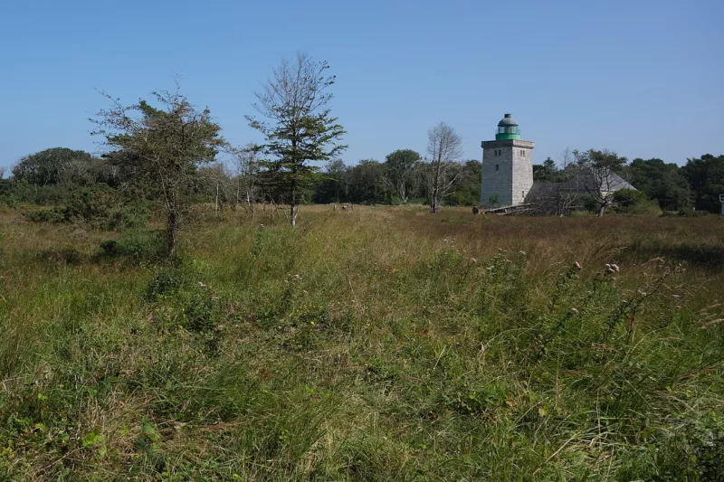 02 NOR - Seine-Maritime - Sainte-Marguerite-sur-Mer - Phare d'Ailly (2021-09-02 14-25-36)