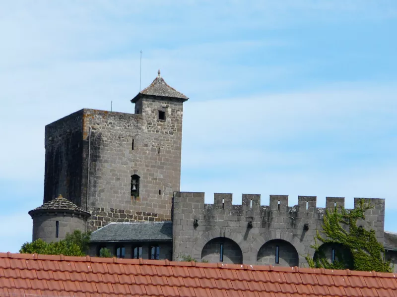 Muséum des Volcans