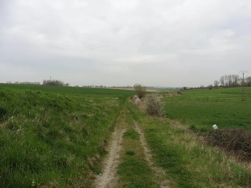 Hondeghem.- Les Monts de Flandre - Plaine de la Lys (3)