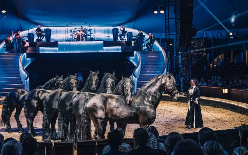 Les folies Gruss dans son nouvel écrin