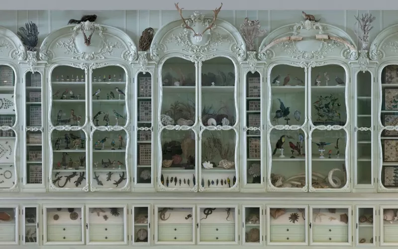 Vos vacances de la Toussaint au Jardin des Plantes