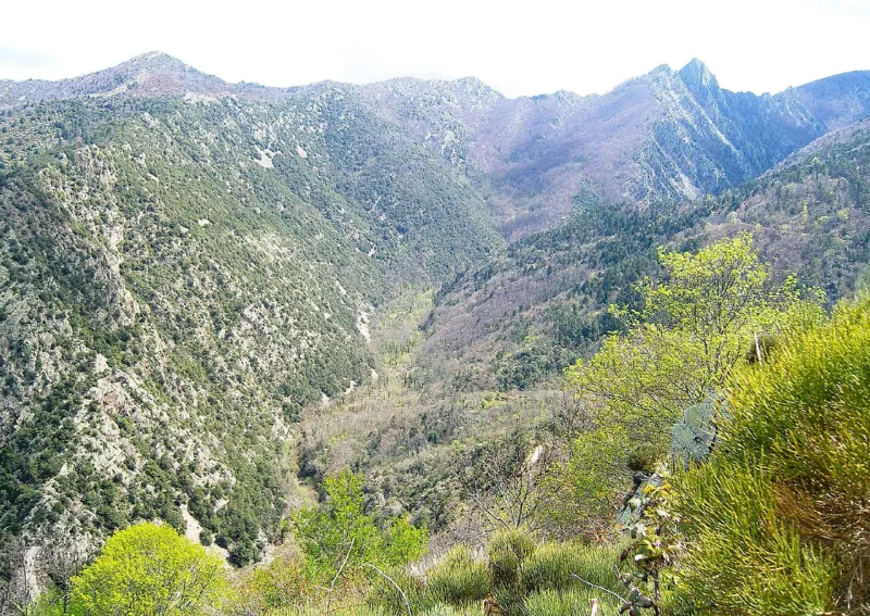 Vallée du Llech