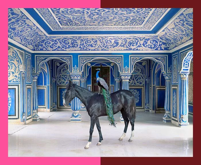 PhotoSaintGermain-Karen Knorr