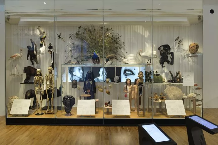 Formation : Galerie de l’Homme