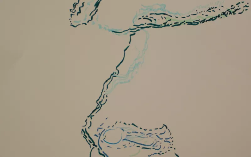Dessin vital : exposition