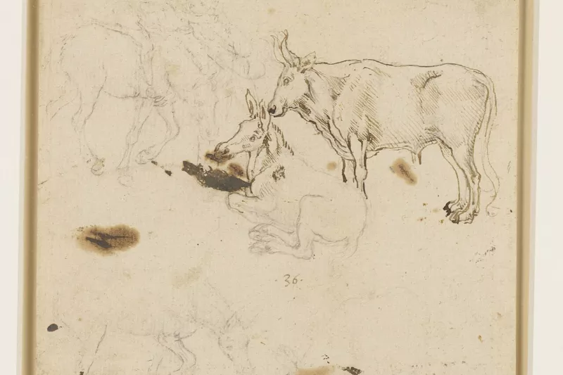Leonardo da Vinci - RCIN 912362, An ox and ass, and other studies of asses c.1478-80