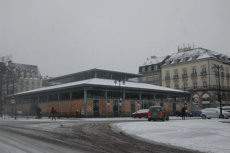 Halle Martenot