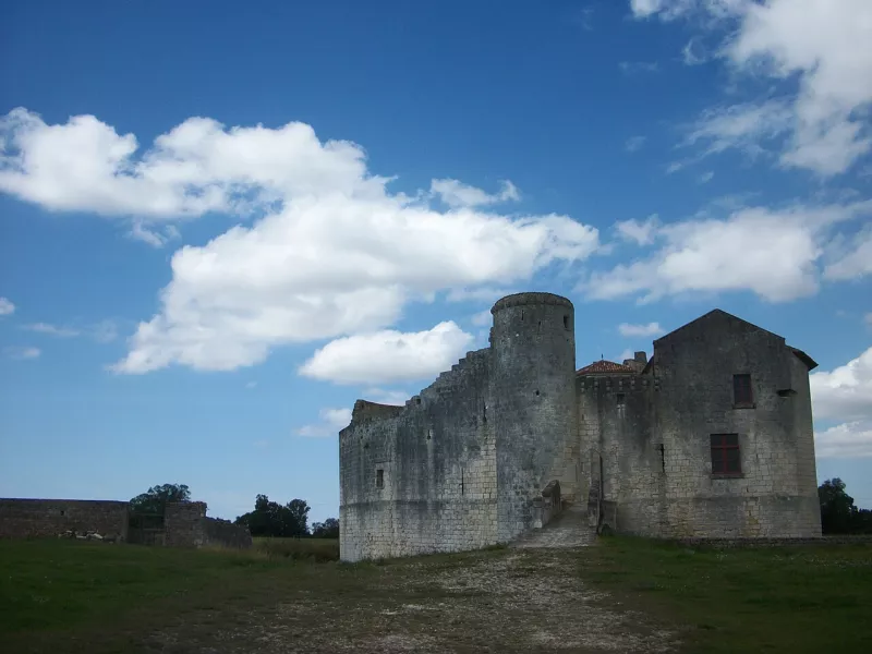 Chateau St Jean d'Angle