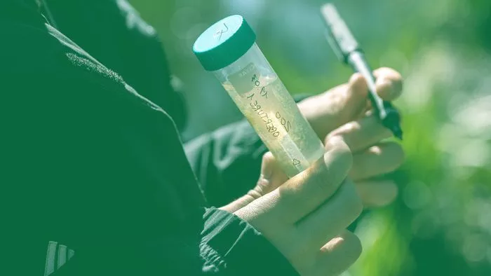 Primum protegere