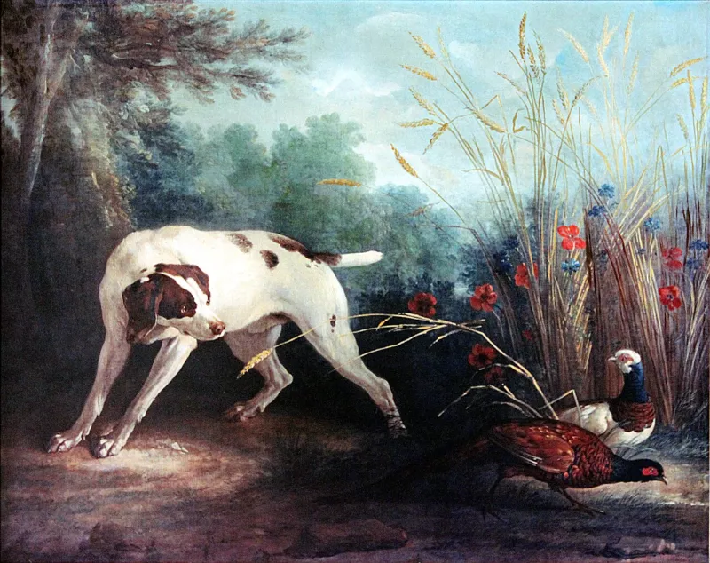 0 Vaux-le-Vicomte - 'Faisans débusqués' - Alexandre-François Desportes