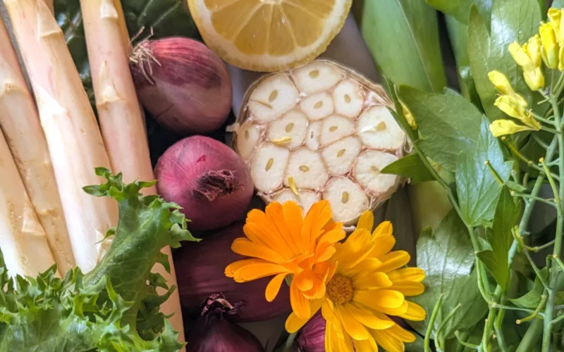 Atelier : Cuisine presque zéro déchet