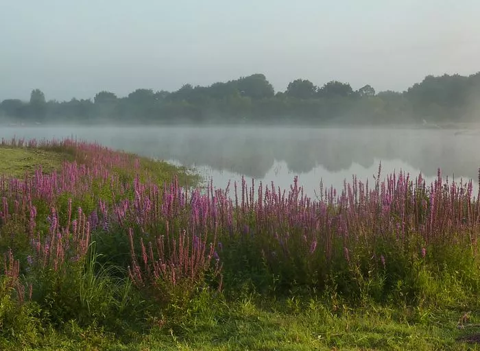 Sur la piste de l'eau et de ses secrets