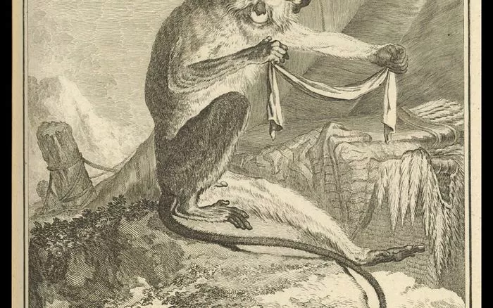 Conte tout petits : Animalia. Zimba et le bracelet perdu - Hôtel de la Marine
