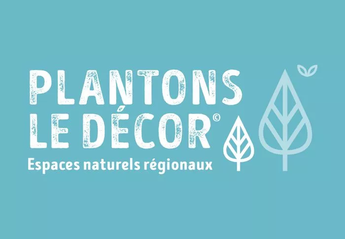 Plantons le décor 🌱