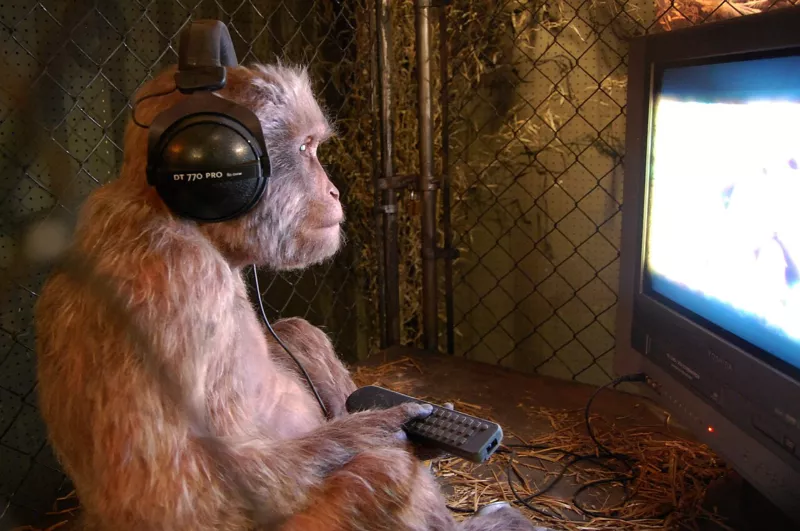 Primate (3009900665)