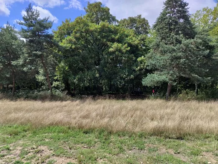 Parcours bien-être Bois de Vincennes - Respiration - Méditation - Sophrologie -Difficulté 2