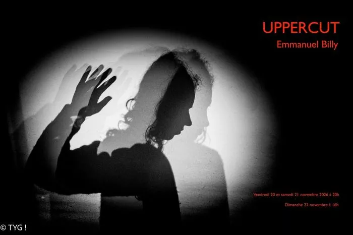 Uppercut ou "Mon histoire et bien d'autres"