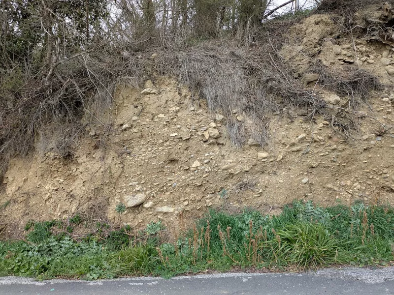 Alluvions - vallée de la Têt - Prades
