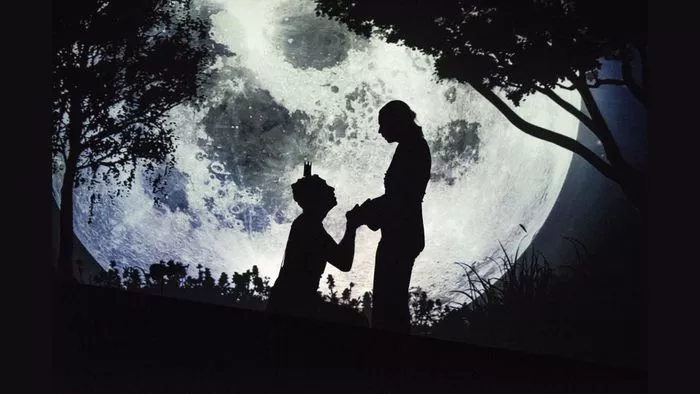 La princesse est le chevalier