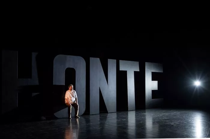 Affiche : COMME TU ME VOIS - Théâtre du Nord