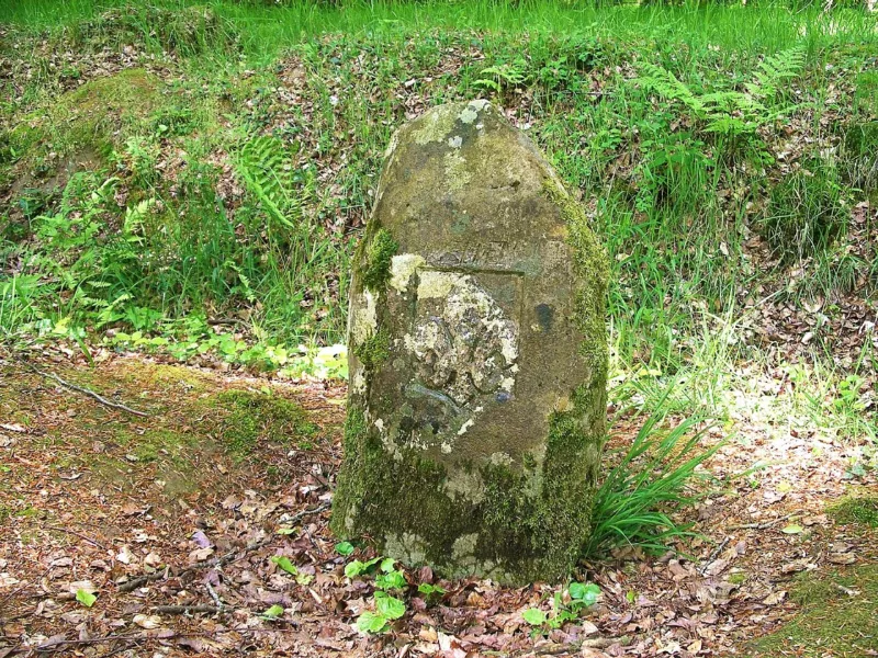 Borne royale forêt Cérisy
