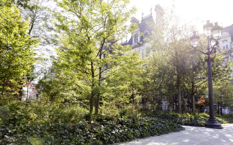 Les transformations végétales du Paris historique