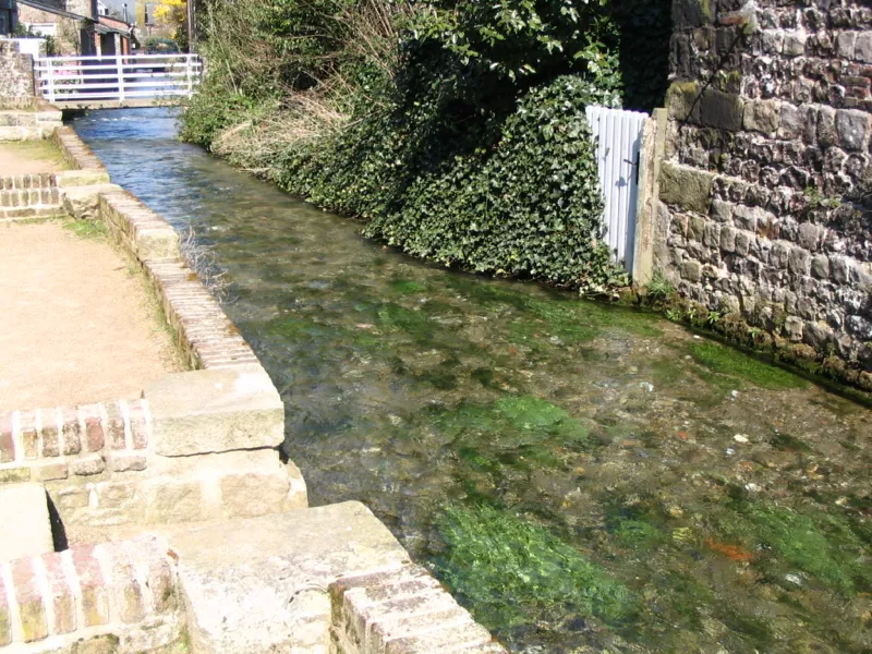 Veules Le cours d'eau