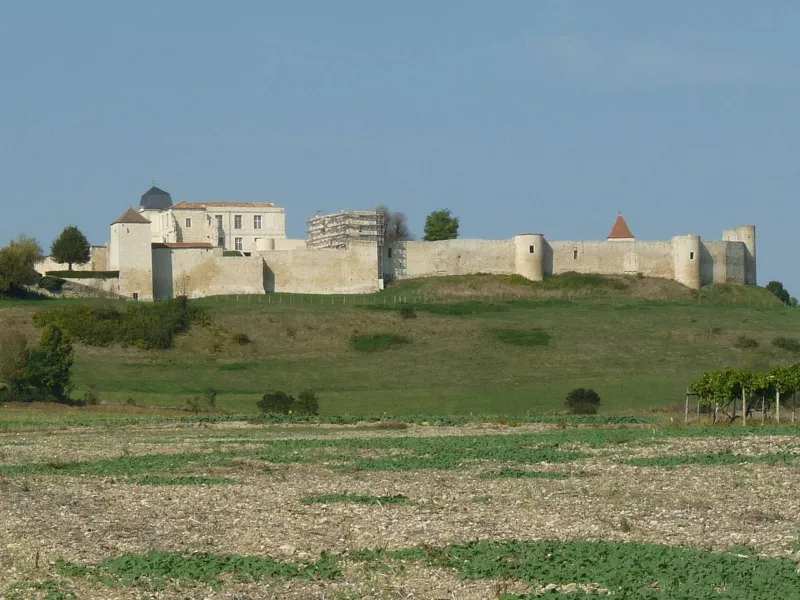 Villebois castle1