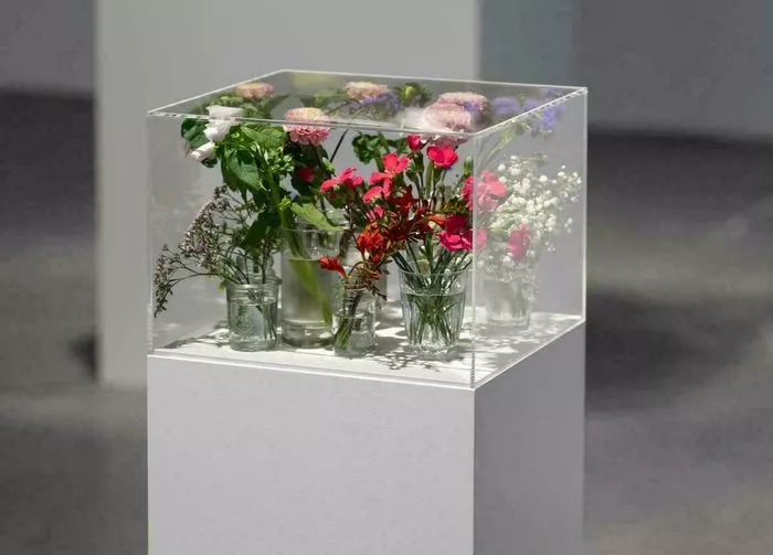 Exposition "Pollen" au CAPC de Bordeaux
