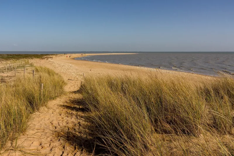 Vue sur la Pointe de l'Aiguillon - Réserve naturelle nationale de la Baie de l'Aiguillon - Vendée