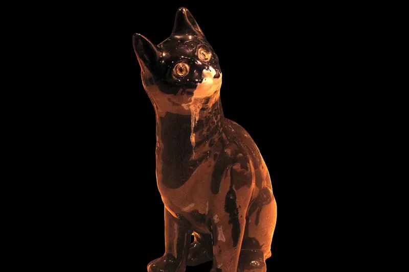 Galle cat-IMG 2189-black