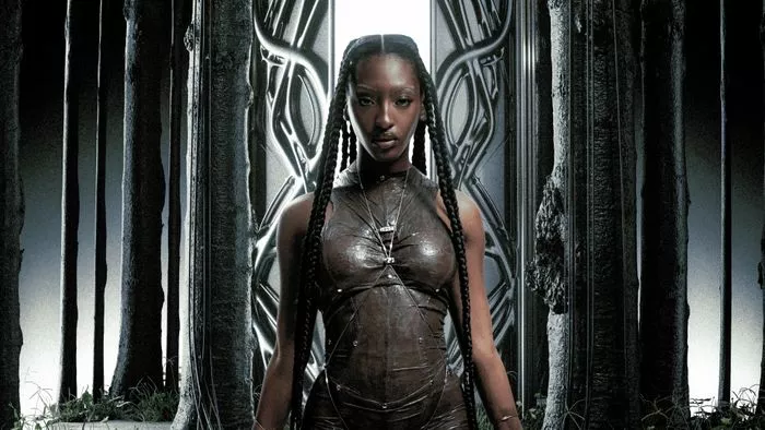 EBONY - Rennes