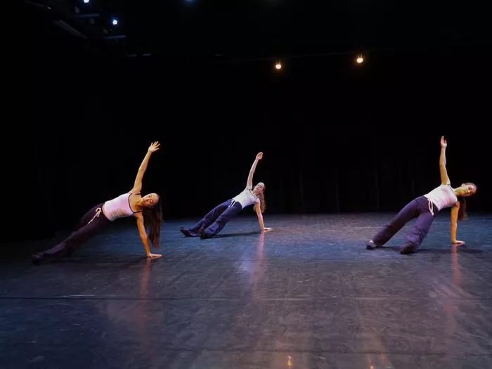 Carte blanche danse