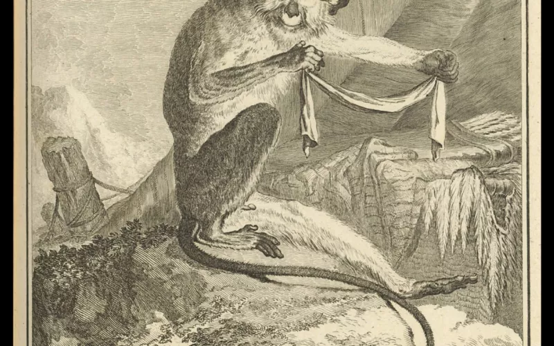 Conte tout petits : Animalia. Zimba et le bracelet perdu - Hôtel de la Marine