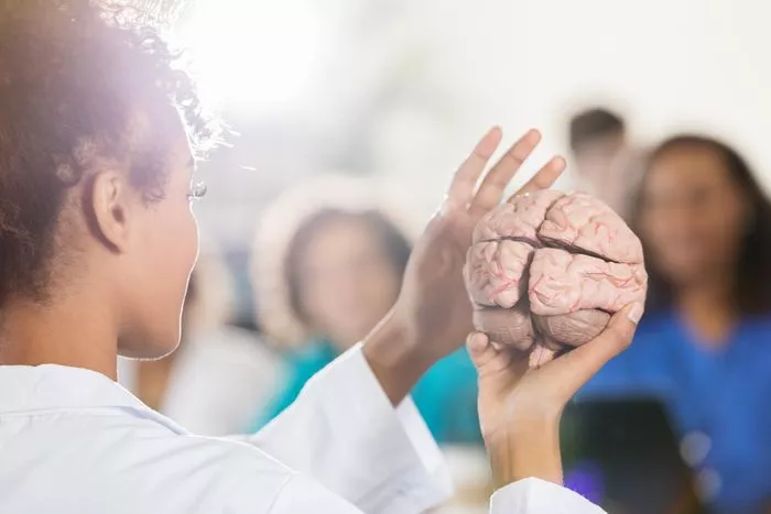 Le cerveau