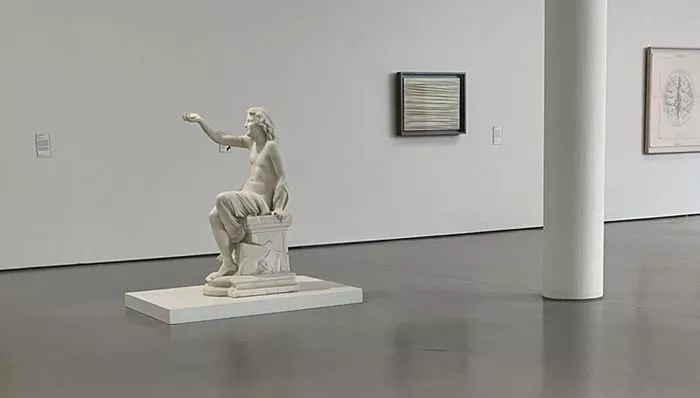 Un nouvel accrochage du Cube : Atome et Anatomie