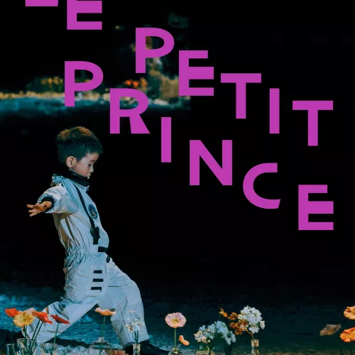 Affiche : Le petit prince