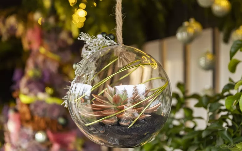 Marchés de Noël 2026 : le calendrier complet