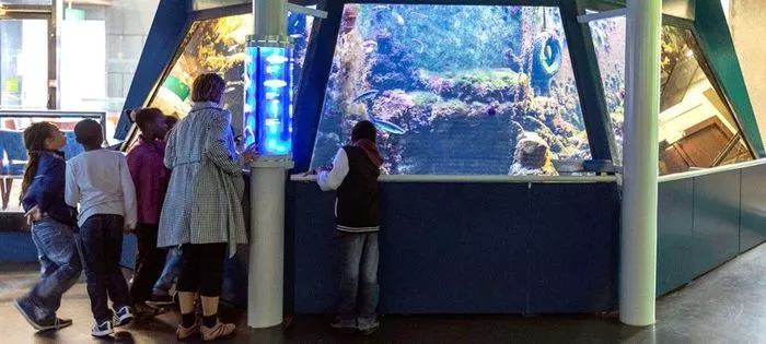L'aquarium