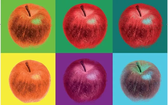 On a vu, on a aimé l’expo « Pompompom Pommes ! »