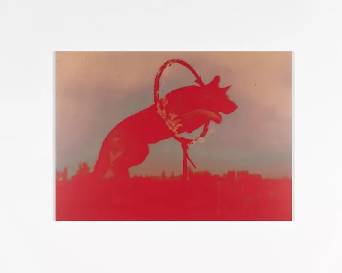 Exposition d'Annika Elisabeth von Hausswolff, A Song for Europe - Galerie Andréhn-Schiptjenko