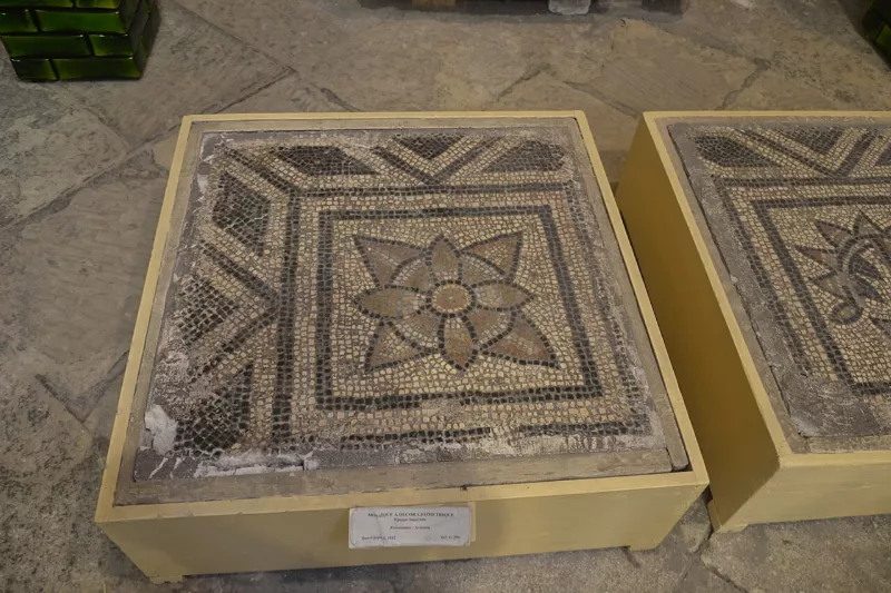 Avignon - Musée lapidaire - mosaïque
