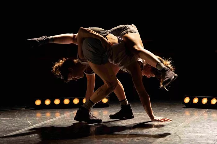La Nuit du Cirque