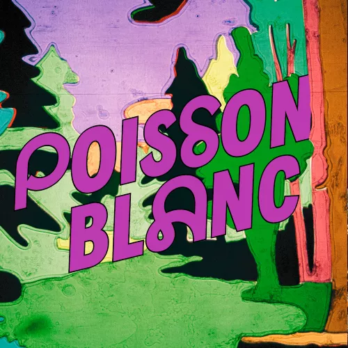 Poisson blanc
