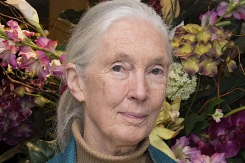 Deputy Secretary Higginbottom Poses for a Photo With Dr. Jane Goodall and the State Department's Global Health Diplomacy Director Jordan in Washington (22365513310) (2) (cropped 2)