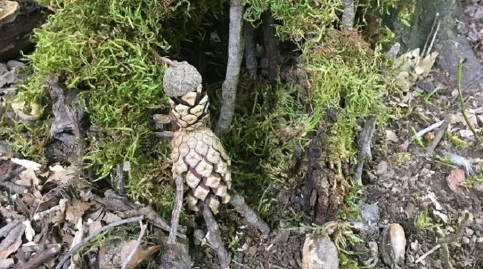 Lutins des bois