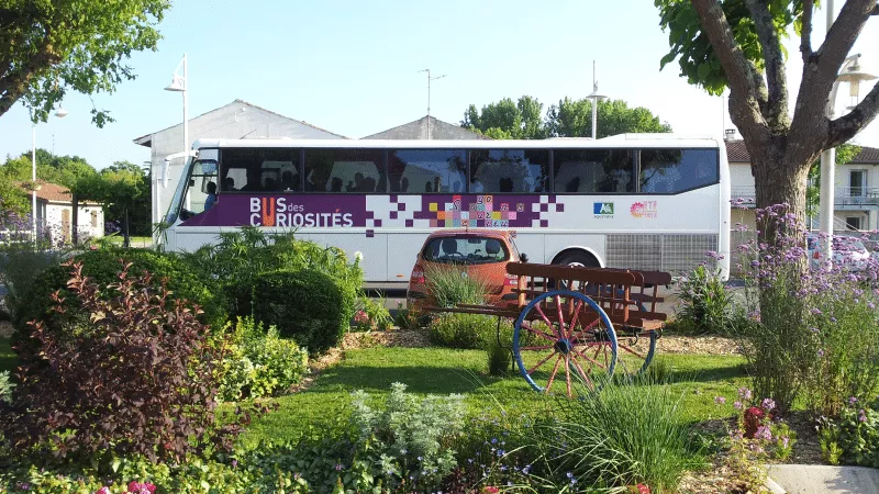 Affiche : Le Bus des curiosités en novembre